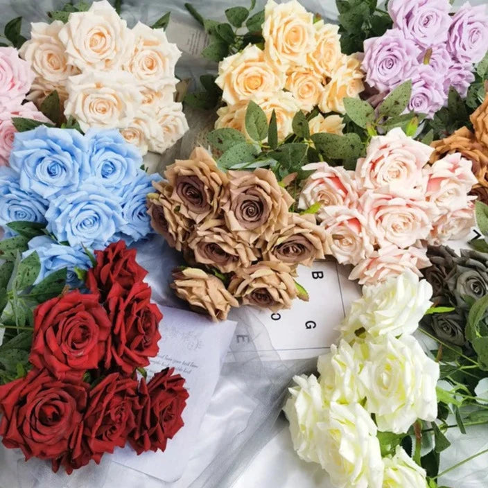 collection-banner-image